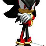 Shadow The Hedgehog ( Heroes )