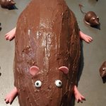 chocolate rat