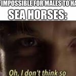 sea horses | THEM: IT'S IMPOSSIBLE FOR MALES TO HAVE BABIES; SEA HORSES: | image tagged in oh i don't think so | made w/ Imgflip meme maker