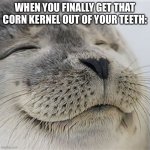 Out of panik, kalm. | WHEN YOU FINALLY GET THAT CORN KERNEL OUT OF YOUR TEETH: | image tagged in content seal,corn,teeth | made w/ Imgflip meme maker