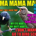 Fledglings | MAMA MAMA MAMA; FEED ME FEED ME
 FEED ME; I WANT THIS I NEED THAT; BUY ME A $40 GAME CARD; MY EYE HURTS 
MY BUTT HURTS; I DON’T WANNA GO TO BIRD SCHOOL | image tagged in starling fledgling | made w/ Imgflip meme maker