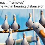 Mine seagulls | My stomach: *rumbles*
Everyone within hearing distance of me: | image tagged in mine seagulls | made w/ Imgflip meme maker