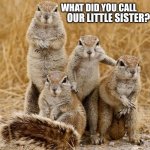 World Animal Day 2015 | WHAT DID YOU CALL; OUR LITTLE SISTER? | image tagged in world animal day 2015 | made w/ Imgflip meme maker