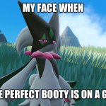 Dead inside Meowscarada | MY FACE WHEN; THE PERFECT BOOTY IS ON A GUY | image tagged in dead inside meowscarada | made w/ Imgflip meme maker