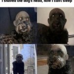 Shaved dog head meme