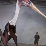 Quetzalcoatlus
