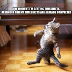 Timesheets | THE MOMENT I'M GETTING TIMESHEETS REMINDER AND MY TIMESHEETS ARE ALREADY COMPLETED | image tagged in cat walking like a boss | made w/ Imgflip meme maker