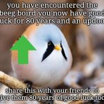 BOIRD | you have encountered the beeg boird you now have good luck for 80 years and an updoot; share this with your friends to give them 80 years of good luck too! | image tagged in borb,birb | made w/ Imgflip meme maker