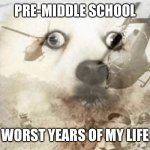 Anyone feel | PRE-MIDDLE SCHOOL; WORST YEARS OF MY LIFE | image tagged in ptsd dog | made w/ Imgflip meme maker