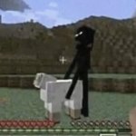 Enderman Holding Sheep