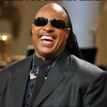 Stevie Wonder | HAVE YOU SEEN MY WIFE? NEITHER HAVE I | image tagged in stevie wonder | made w/ Imgflip meme maker