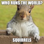 Squirrel Song Pun | WHO RUNS THE WORLD? SQUIRRELS | image tagged in advice giving squirrel | made w/ Imgflip meme maker