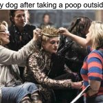 My Liege [bows to the poodle] | My dog after taking a poop outside: | image tagged in king,my liege,dog,poodle,standard poodle | made w/ Imgflip meme maker