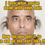 Nice hair do | I  love  what  you've  done  with  your  hair. How  do  you  get  it  to  come  out  of  the  ears  like  that? | image tagged in hair in the ears,how do you manage,to grow it,from your ears | made w/ Imgflip meme maker