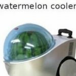 watermelon cooler: