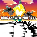 Long answer: you cant