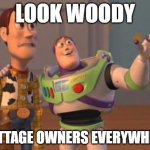 look woody | LOOK WOODY; COTTAGE OWNERS EVERYWHERE | image tagged in sales leads | made w/ Imgflip meme maker