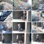 Tadamon Massacre in Syria
