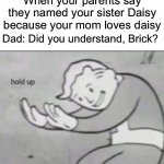Wait- Wha- | When your parents say they named your sister Daisy because your mom loves daisy; Dad: Did you understand, Brick? | image tagged in fallout hold up with space on the top | made w/ Imgflip meme maker