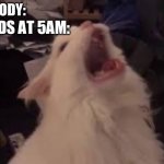 Seriously like birds at 5am are so loud then they get quiet later, like why? | NOBODY:; BIRDS AT 5AM: | image tagged in screamin cat,birds,screaming,loud,why are you reading this,stop reading the tags | made w/ Imgflip meme maker