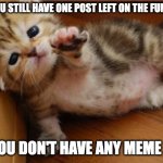 Help me... | WHEN YOU STILL HAVE ONE POST LEFT ON THE FUN STREAM; BUT YOU DON'T HAVE ANY MEME IDEAS | image tagged in help me kitten | made w/ Imgflip meme maker