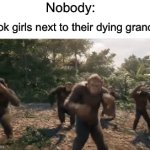 Accurate asf | Nobody:; TikTok girls next to their dying grandma: | image tagged in gifs,memes,funny,true story,tiktok,dancing | made w/ Imgflip video-to-gif maker
