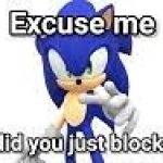 sonic did you just block me