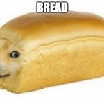 Proof that people will upvote anything. | BREAD | image tagged in doge bread | made w/ Imgflip meme maker