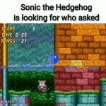 sonic finding who asked GIF Template