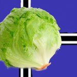 Join the lettuce empire today! Bring fair integration of lettuce into modern society. | image tagged in lettuce empire flag | made w/ Imgflip meme maker