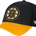 Bruins hat