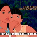 pocahontas | DO YOU THINK WE WOULD SURVIVE DURING THIS TRIP IN THE FU-; SHH!!! PREDATORY RATS AND CARAKILLERS ARE HERE! | image tagged in pocahontas | made w/ Imgflip meme maker