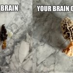 Your Brain Mushroom | YOUR BRAIN ON $PEPE; YOUR BRAIN | image tagged in your brain mushroom | made w/ Imgflip meme maker