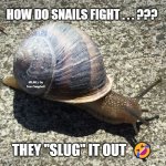 Slow as a snail... | HOW DO SNAILS FIGHT . . . ??? MEMEs by Dan Campbell; THEY "SLUG" IT OUT  🤣 | image tagged in slow as a snail | made w/ Imgflip meme maker