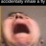 its so annoying but I know what the comments are going to say, "Extra protein!" | when you accidentally inhale a fly | image tagged in flies,are,nasty,to,swallow | made w/ Imgflip meme maker