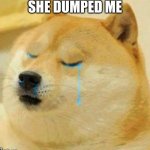 things | SHE DUMPED ME | image tagged in sad doge,dog | made w/ Imgflip meme maker