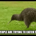People Be Like | WHEN PEOPLE ARE TRYING TO CATCH THE BUS | image tagged in gifs,kiwi | made w/ Imgflip video-to-gif maker