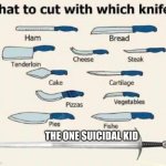 What to cut with which knife | THE ONE SUICIDAL KID | image tagged in what to cut with which knife | made w/ Imgflip meme maker