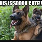 up vote this if you think this is cute!!!! | THIS IS SOOOO CUTE!!!! | image tagged in simba | made w/ Imgflip meme maker