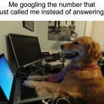 “Why am I like this” | Me googling the number that just called me instead of answering: | image tagged in dog behind a computer,memes,funny,true story,relatable memes,google | made w/ Imgflip meme maker