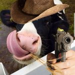 Funny cow with gun