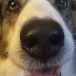 Shoonoon face