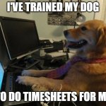 Timesheets | I'VE TRAINED MY DOG; TO DO TIMESHEETS FOR ME | image tagged in dog behind a computer | made w/ Imgflip meme maker