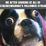 wow | ME AFTER LOOKING AT ALL OF JUSTACHEEMSDOGE'S FOLLOWED STREAMS | image tagged in eyes wide open terrier,eyes,wow,streams,what a terrible day to have eyes,my eyes | made w/ Imgflip meme maker