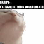 me at 5am | NOBODY :; ME AT 5AM LISTENING TO SEA SHANTIES : | image tagged in gifs,music,cat | made w/ Imgflip video-to-gif maker