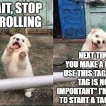 notice i didn't typo? | WAIT, STOP SCROLLING; NEXT TIME YOU MAKE A MEME, USE THIS TAG, "THIS TAG IS NOT IMPORTANT" I'M TRYING TO START A TAG TREND | image tagged in wait stop scrolling,this tag is not important | made w/ Imgflip meme maker