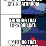 This happens | HEARING SOMETHING IN THE BATHROOM; THINKING THAT IT'S YOUR CAT; REALIZING THAT IT ISN'T YOUR CAT | image tagged in donald duck awake | made w/ Imgflip meme maker
