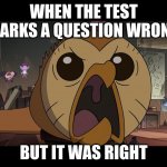 Angry Hooty (The Owl House) | WHEN THE TEST MARKS A QUESTION WRONG; BUT IT WAS RIGHT | image tagged in angry hooty the owl house | made w/ Imgflip meme maker