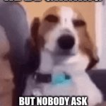 what da dog doin | HE BE GRINING; BUT NOBODY ASK WHAT THE DOG THINKING | image tagged in gifs,dog | made w/ Imgflip video-to-gif maker