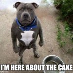 You Said There Would be Cake | I'M HERE ABOUT THE CAKE | image tagged in hungry dog,cake,the cake is a lie | made w/ Imgflip meme maker